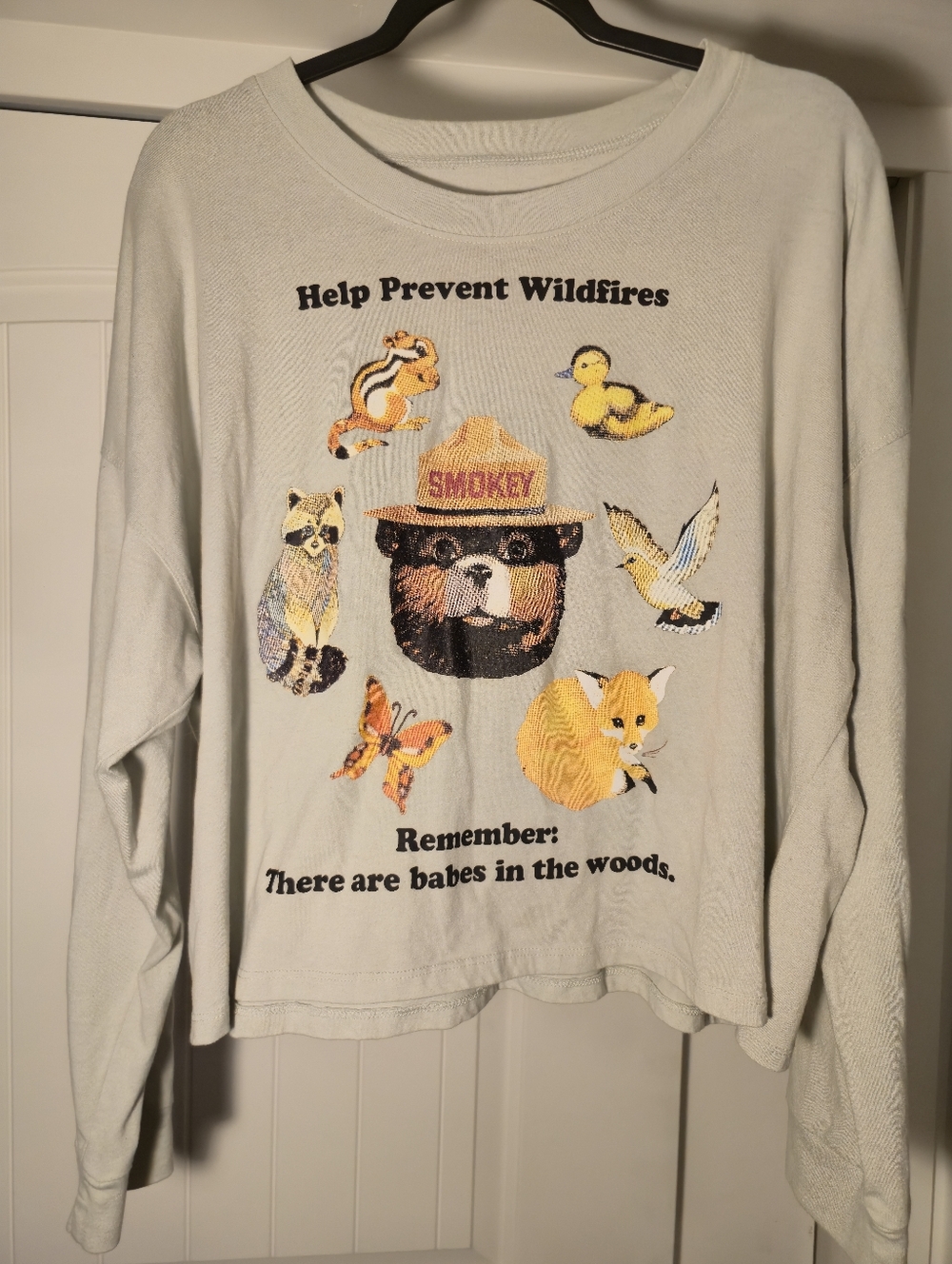 Smokey Bear 'Help Prevent Wildfires' Graphic Long Sleeve Shirt - Light Green